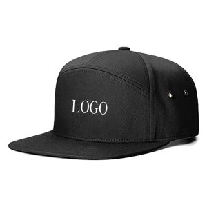 cap 508.jpg